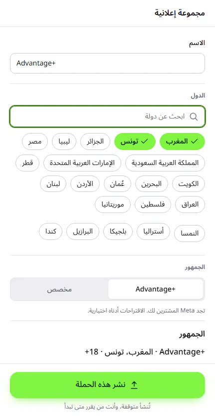 لقطة شاشة من تطبيق Vendly: لوحة المجموعة الإعلانية مع الدول وجمهور Advantage+