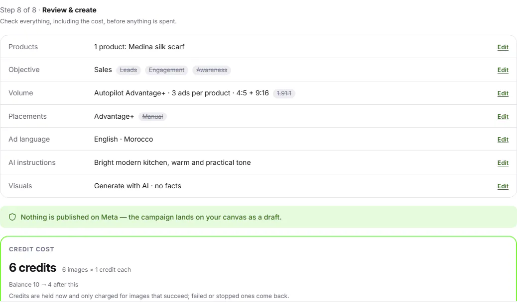 Screenshot of the Vendly app: the review step with the credit cost and balance