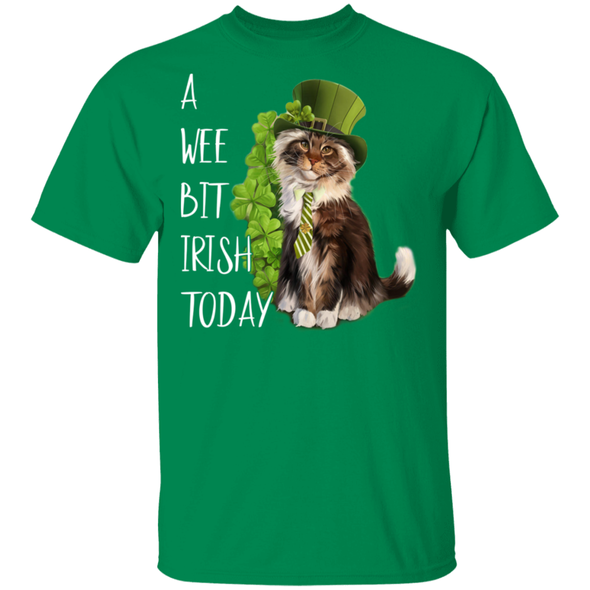 Vendlyy Gifts Patrick's Day T-Shirt 13